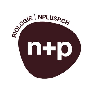 n+p