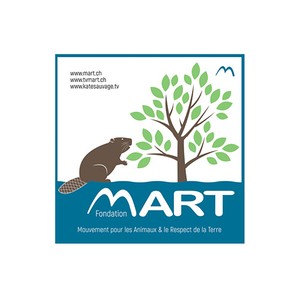 Mart