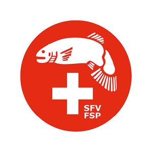 FSP